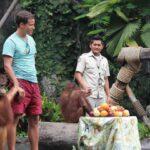 Bali Safari Marine Park: Tiket, Atraksi & Show