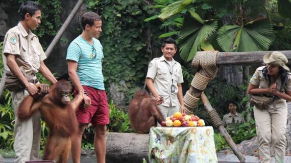 Bali Safari Marine Park: Tiket, Atraksi & Show