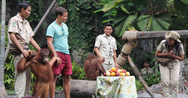 Animal Show di Bali Safari